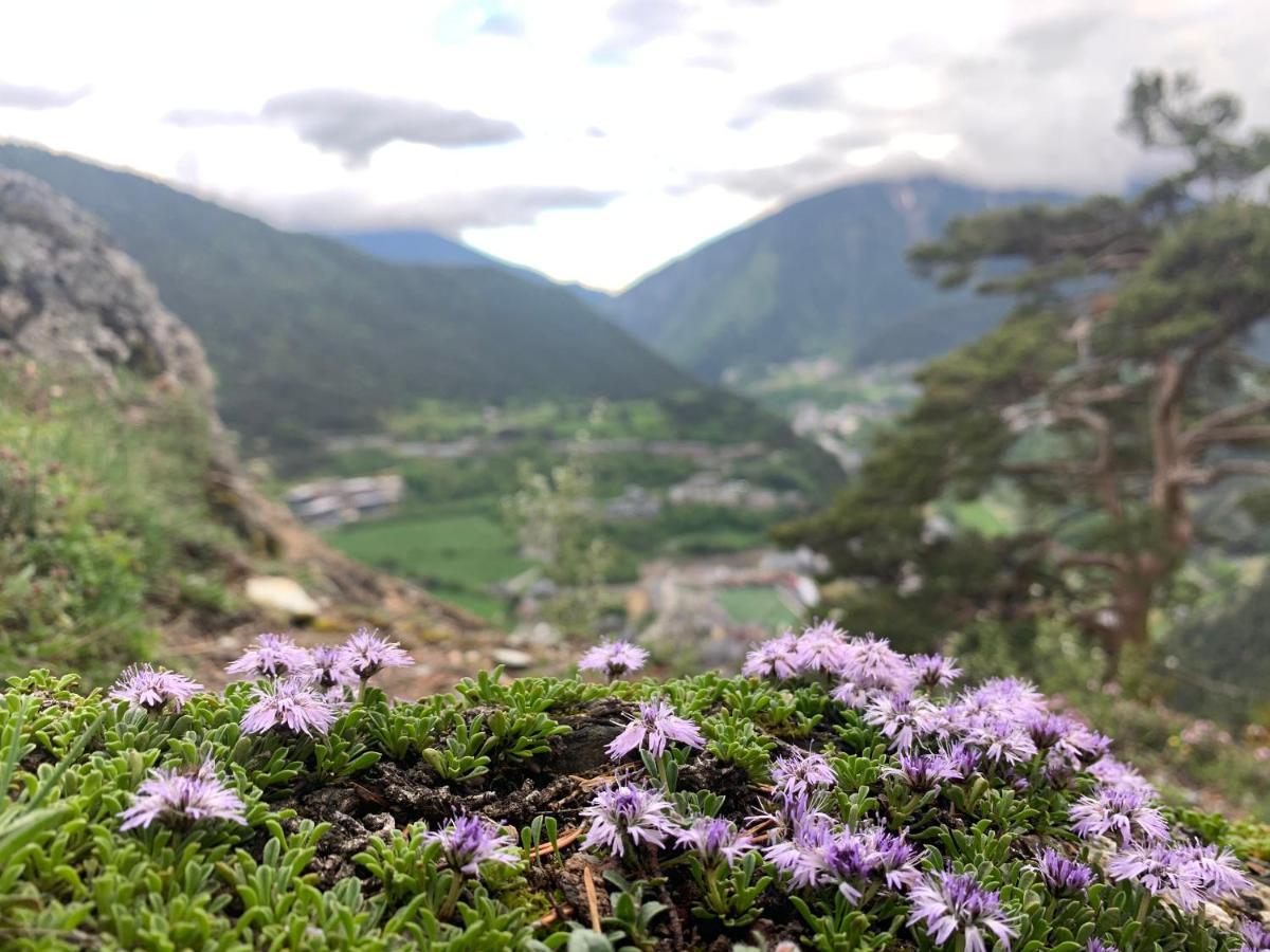 Passamane Pb - Canillo - Casco Antiguo المظهر الخارجي الصورة